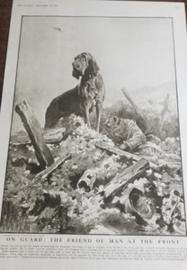 [#1895] ON GUARD: THE FRIEND OF MAN AT THE FRONT(1916 THE GRAPHIC) 