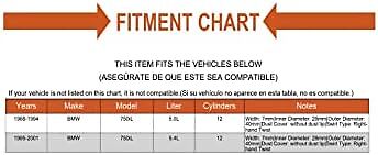 Engine Camshaft Seal for BMW 750iL, 850Ci, 850CSi, 850i, M3, Rolls-Royce Park