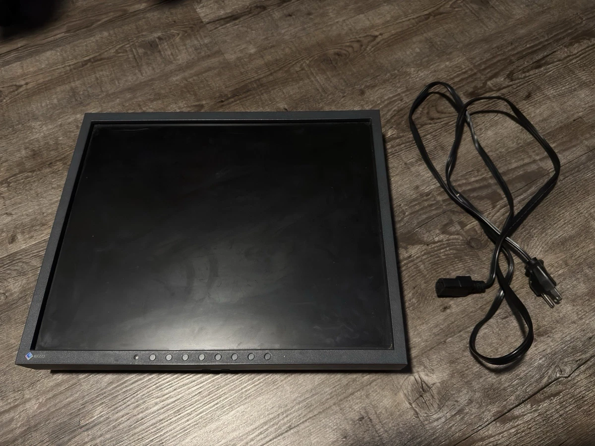 EIZO 19-22.9 Inch DVI-D Computer Monitors for sale | eBay