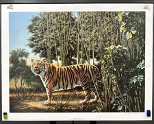 D. L. Rust, The Hidden Tiger, Fine Art Print Lithograph, African Safari