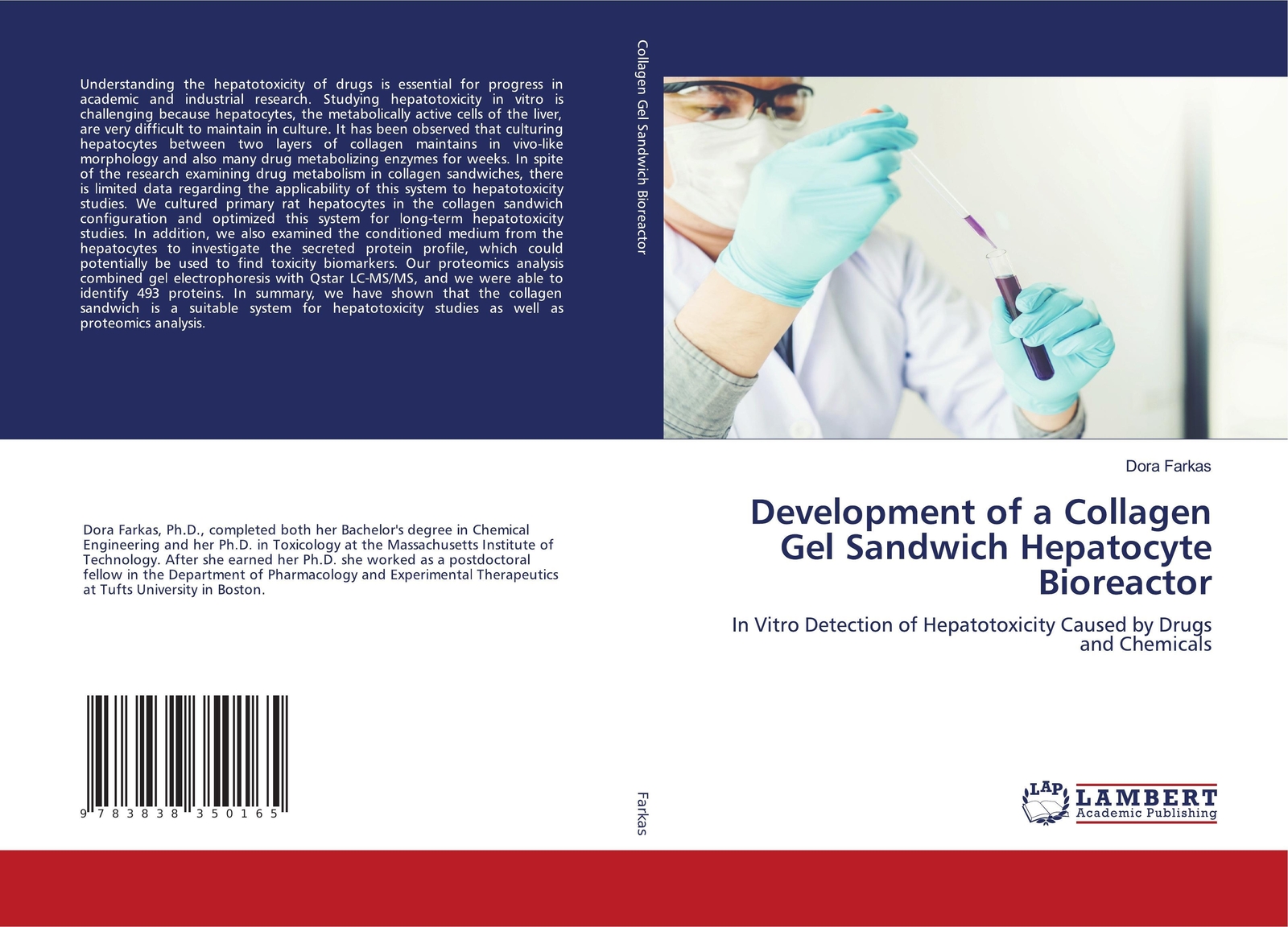 Dora Farkas | Development Of A Collagen Gel Sandwich Hepatocyte