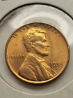 Lincoln Wheat Small Cent 1955-D RD Bronze Denver Uncirculated US Coin