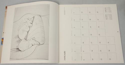 David HOCKNEY vintage 1995 illustrated calendar Little Boodge his dachshund dog - Picture 8 of 16