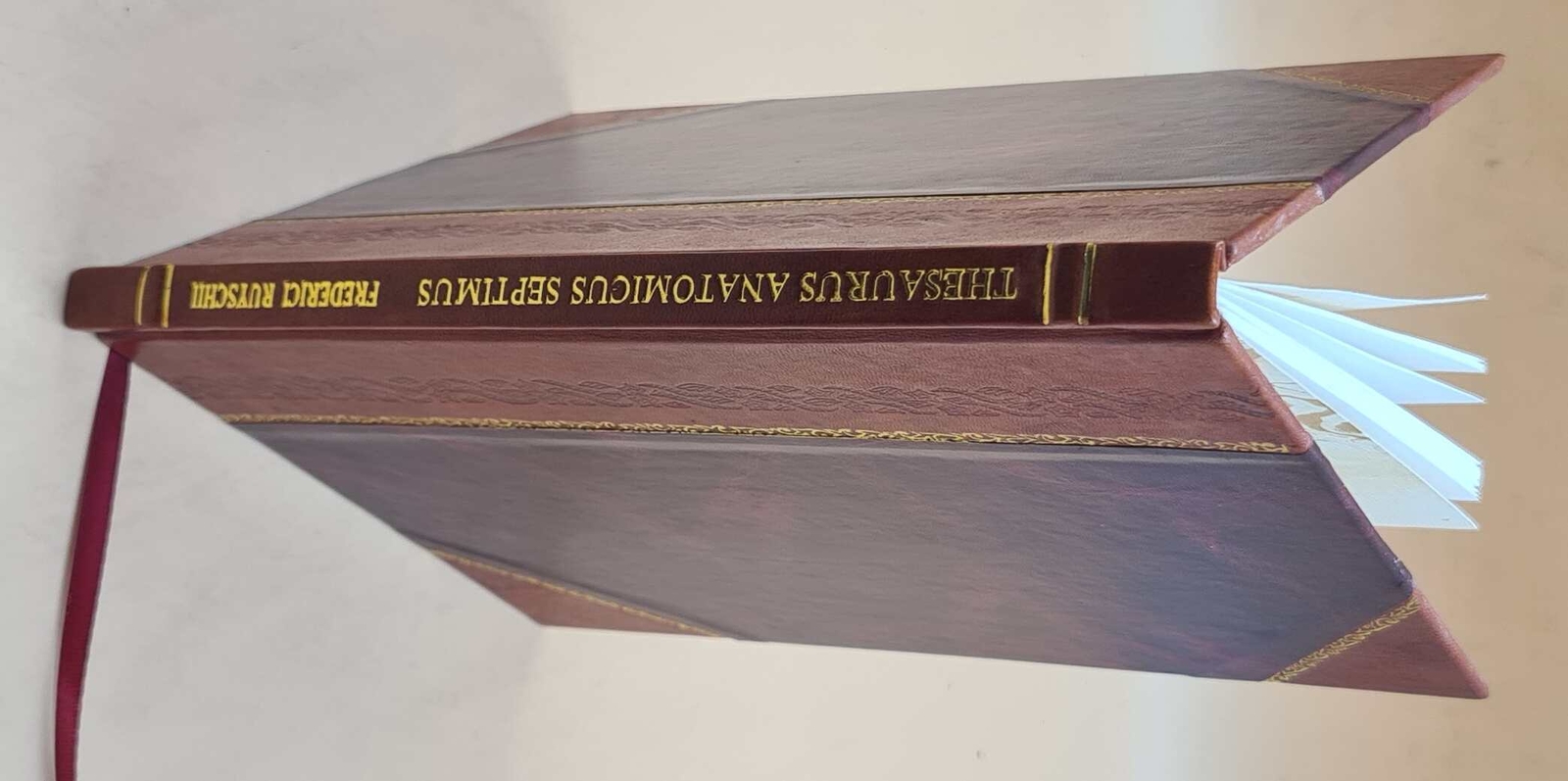 Frederici Ruyschii Thesaurus Anatomicus Septimus Leather Bound with Illustrations