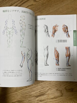 Drawing a Person Art Anatomy Learned from Sketches Draw Book