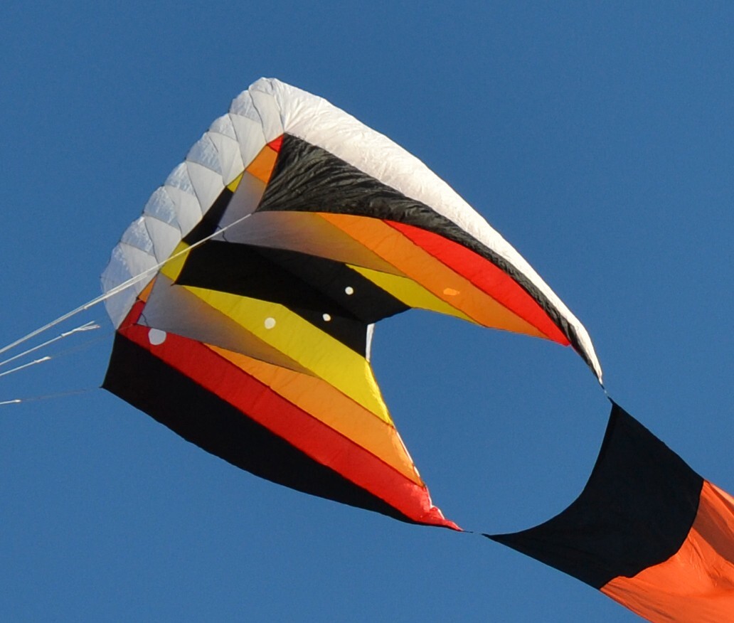 Ron Mazzotta Kite Collection Gomberg Kites Skyform 60 with 75' Flow