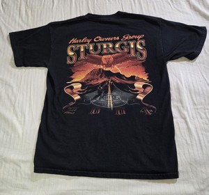 激レアビンテージ ハーレダビッドソンSTURGIS 2001 Tシャツ 激レア