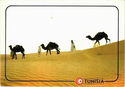 CPM TUNESIEN Sa Majeste Kamera 1 Empereur du Sahara (799869)