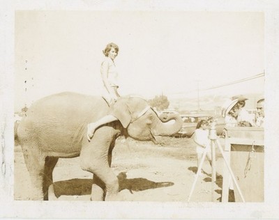 Woman Riding Elephant Roadside Attraction Circus 1960s VTG Snapshot Photo