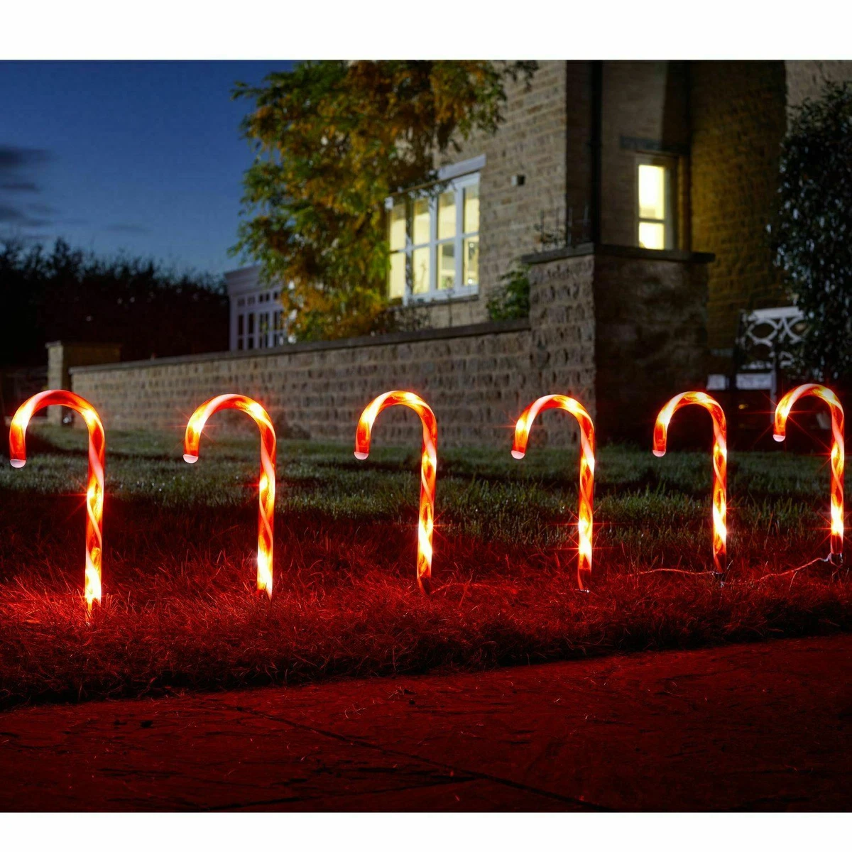 Mini candy cane lights online
