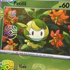 Pokemon TCG Petilil (Master Ball Pattern) 006/086 Sv: Black Bolt Holo 