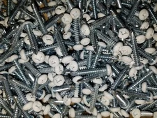 100 Pack PAN WHITE zinc head screw # 8 X 1" SELF DRILLING rv cargo trailer