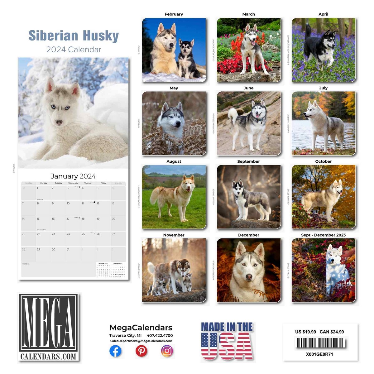 Siberian Husky Dog Breed Calendar 2024 FULL SIZE 12x24 Made in USA | eBay