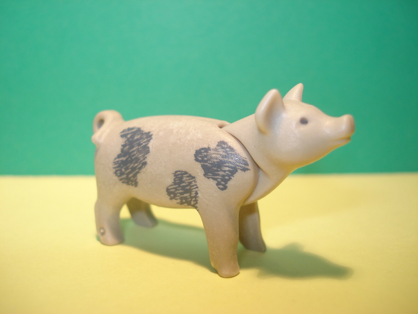 Cartolina D'epoca Augurale Portafortuna Quadrifoglio Ferro Di Cavallo Maiale - Foto 9