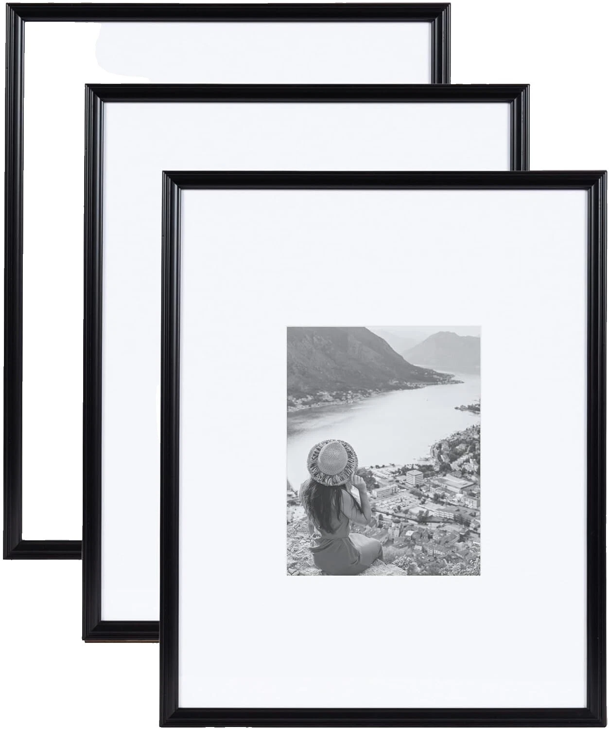 Transitional Frame Set Picture Frames