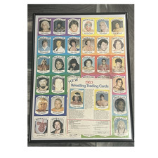 Uncut 1982 Wrestling All Stars Series A set. Hulk Hogan and Ric Flair’s Rookie