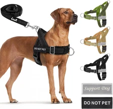 No Pull Dog Harness - Heavy Duty Dog Harness and Leash Set for Medium Large Dogs