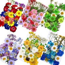 Nat&uuml;rliche gepresste getrocknete Blume Bl&auml;tter Zum Selbermachen Handyh&uuml;lle Kunst Harz Anh&auml;nger Handwerk