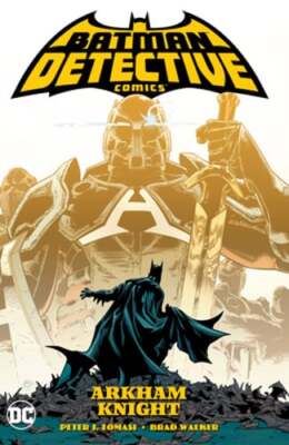Batman: Detective Comics Vol. 2: Arkham Knight by Peter J Tomasi: Used