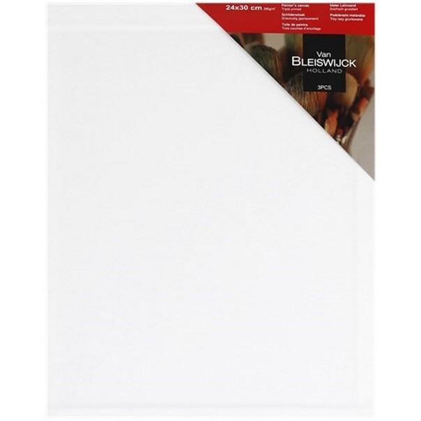 Toile de peintre 24x30 cm pour cours d'art plastique et ateliers de peinture