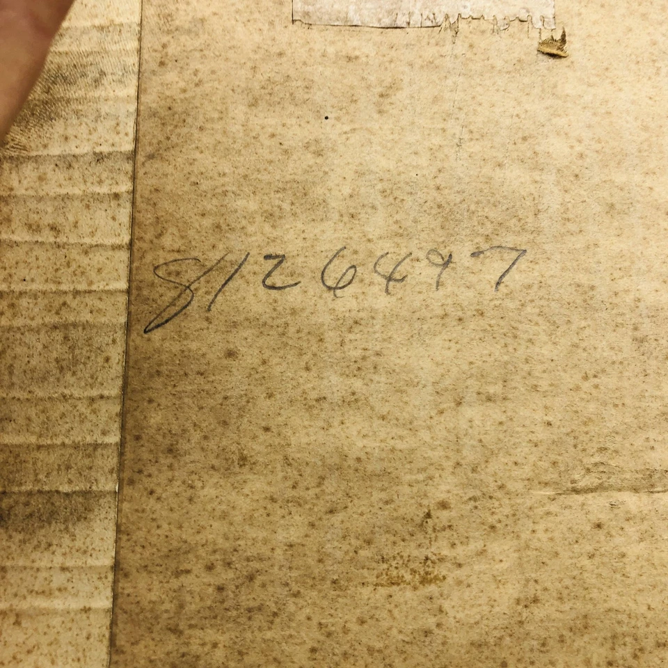 Juego de engranajes diferencial eje delantero Jeep 8120365 NOS modelo 30 Dana Spicer 74-75 Foto 3 de 4