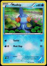 Mudkip XY38 XY Promo - Holo Pokemon NM/M (Promo) on eBay