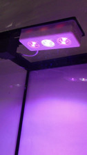 Refugium light CHAETO C3 G5 W/IR Red 680nm Mini Refug LED Light For Small Tanks