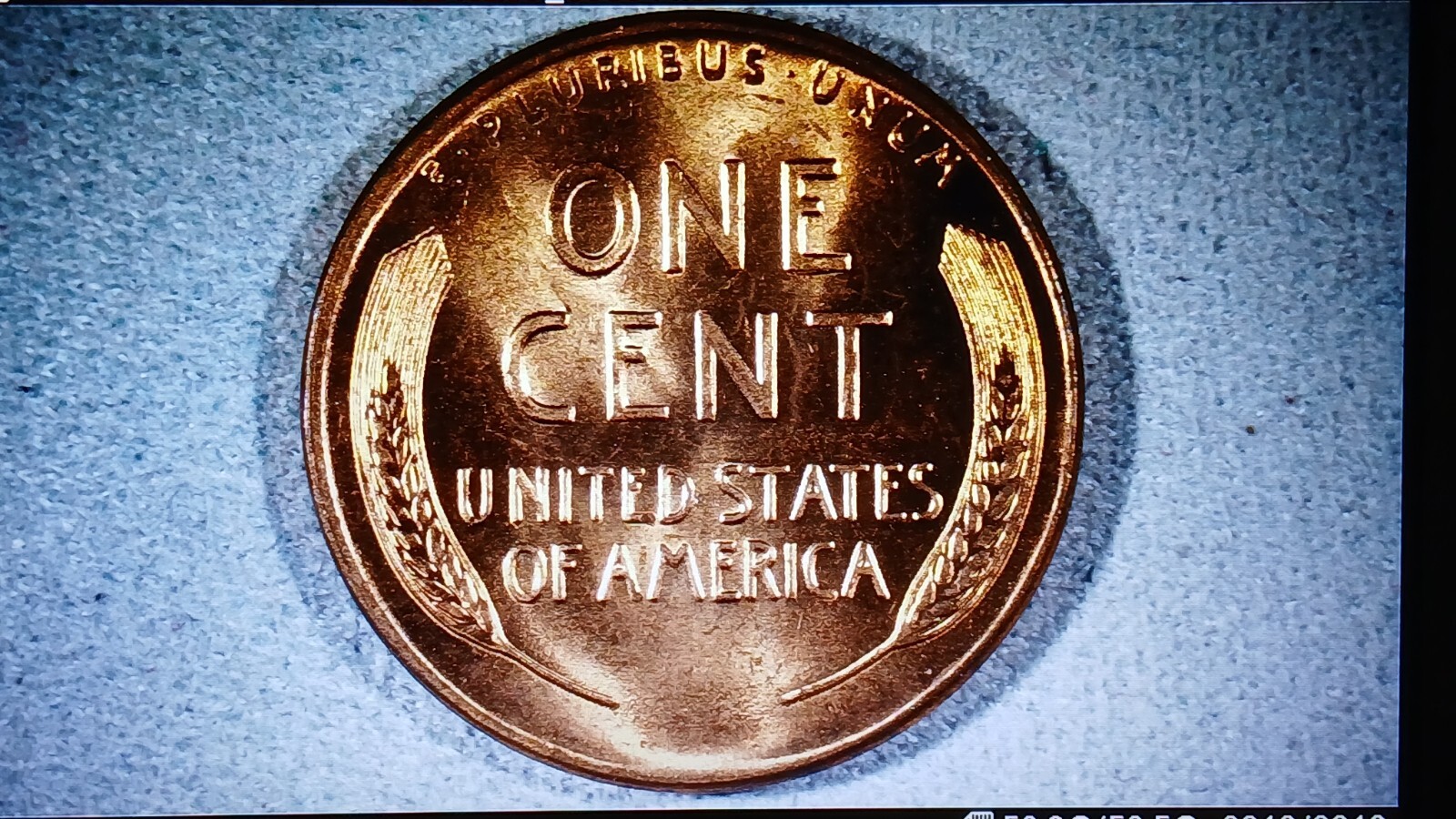 Picture 3 of 12