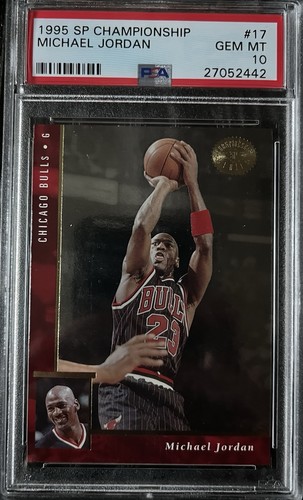 1995 Michael Jordan #17
