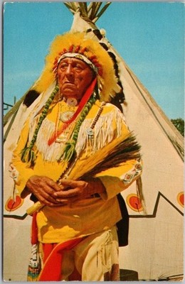 c1950s Indian / Native Americana Postcard ''The Dignity and Poise of a Chief''