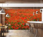 3D Poppy Flower Field R6546 Wallpaper Wall Mural Self-adhesive Removable Luna