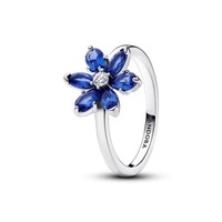 Pandora Ring 193000C01 Funkelndes Herbarium Cluster Ring Weite 54 925/- Silber