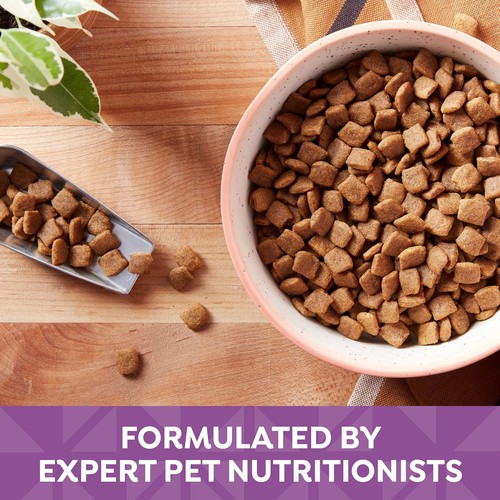 Nature's Recipe Grain Free Dry Dog Food, Lamb, Sweet Potato & Pumpkin Recipe,... - Picture 6 of 10