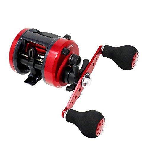Daiwa Bait Reel 17 DYNASTAR 150 L For Fishing From japan | eBay