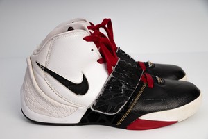 nike flight dunk hoop