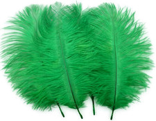 20Pcs Natural 10-12Inch 25-30Cm Ostrich Feathers Plume for Wedding Centerpieces