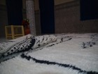 Bild 10 von 12