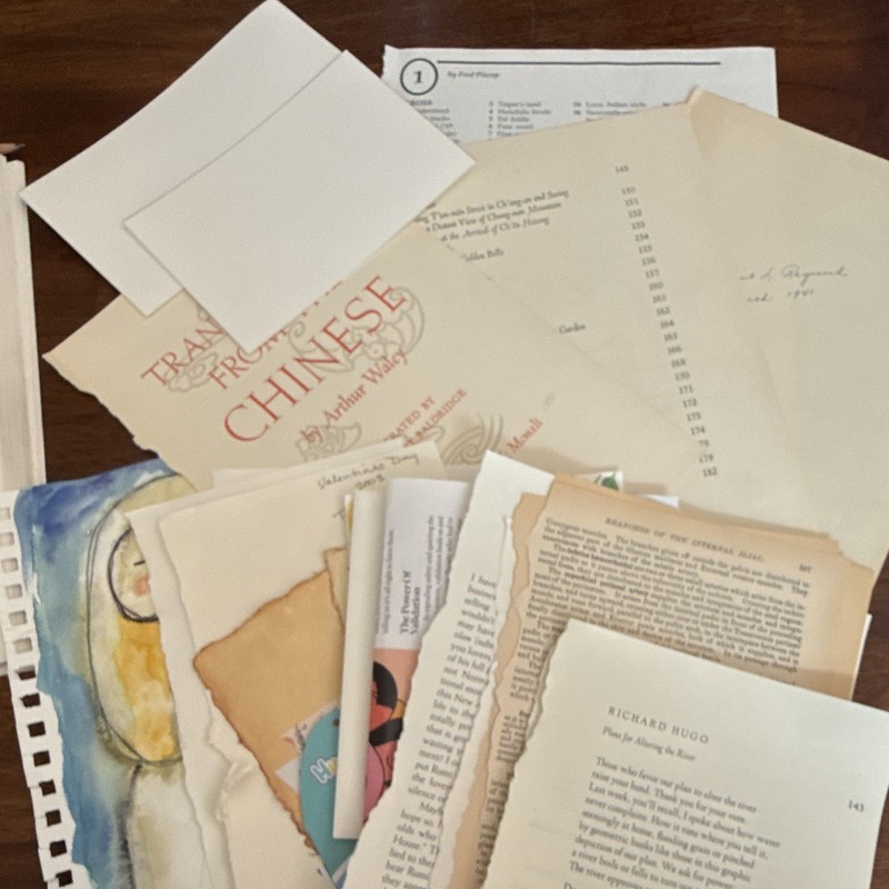 Mixed Paper Ephemera Scraps Pack with Torn Book Pages, Postcards & Cardstock