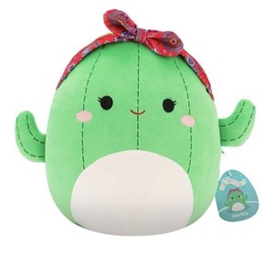 Cactus Squishmallow | eBay