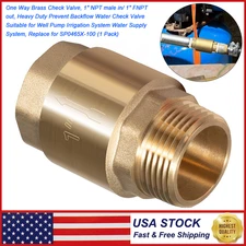 1" NPT One Way Brass Check Valve Female Pipe Thread for Well Pump SP0465X-100