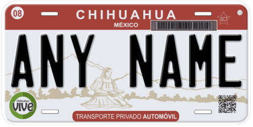 Meoqui Chihuahua Mexiko beliebiger Name personalisierte Neuheit Auto Nummernschild - Bild 2 von 8