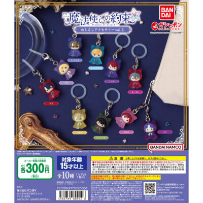Capsule Toy Complete set Promise of Wizard Mejirushi accessories
