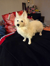 White Wolf , The Lone Loyal Wolf Watcher, Rea...