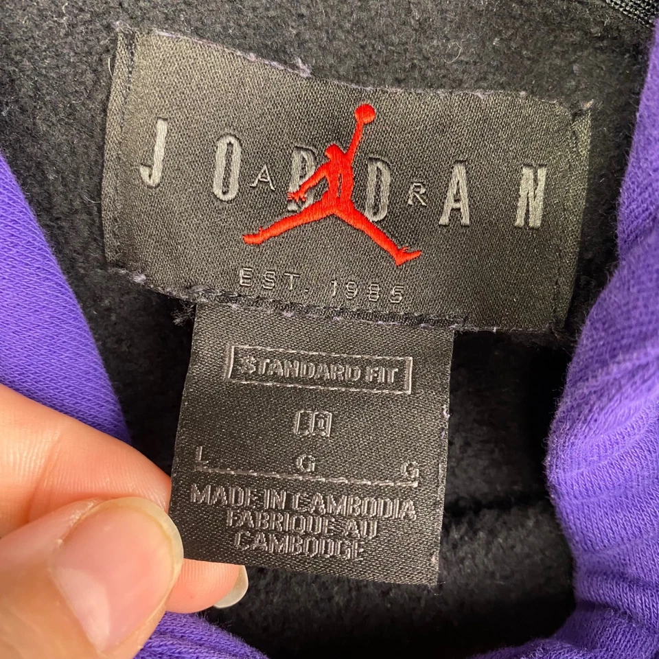 Sudadera con Capucha Jordan Para Hombre Talla L Púrpura Negra Bloque de Color Pullover Sudadera Foto 3 de 4