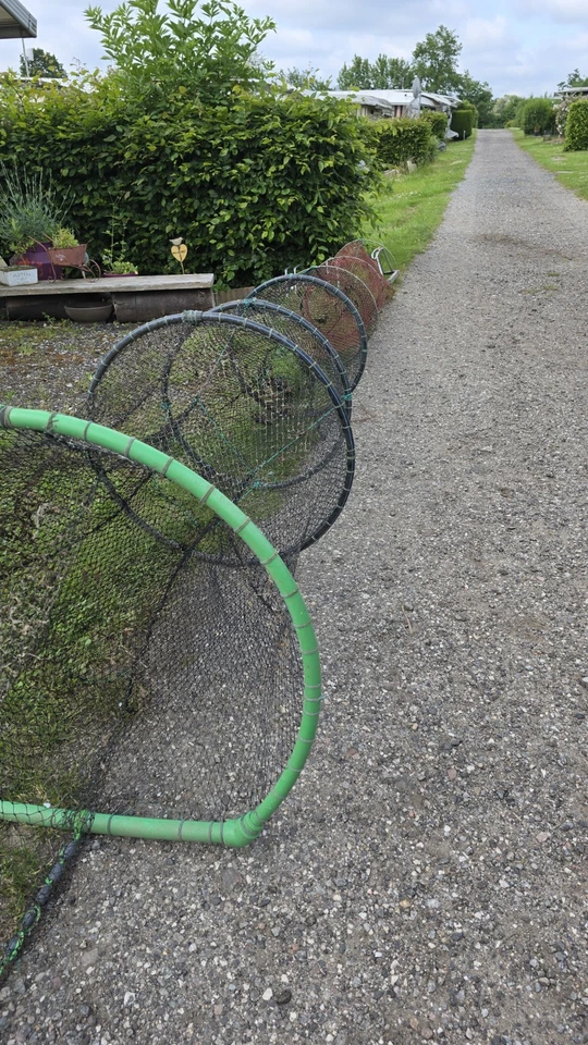 Reuse mit Leitnetz - Bild 2 von 4