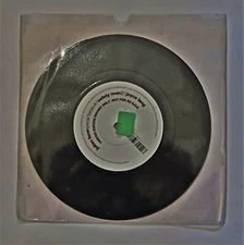 JULIAN FANE - Special Forces promo only 7" EX PLANET MU 2004 postrock/tronica