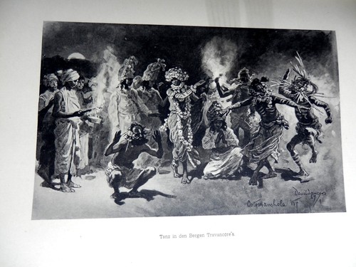 Seis meses India imágenes de caza y viaje W. Friedrich 1893 Asia - Imagen 17 de 21