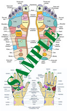 HAND  FOOT REFLEXOLOGY CHART POSTER - LAMINATED  9" x 14.5"
