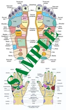 HAND & FOOT REFLEXOLOGY CHART POSTER - LAMINATED   9" x 14.5" 