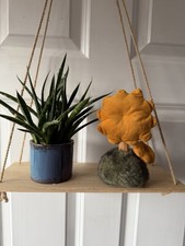 Jellycat Wild Nature Chanterelle Mushroom